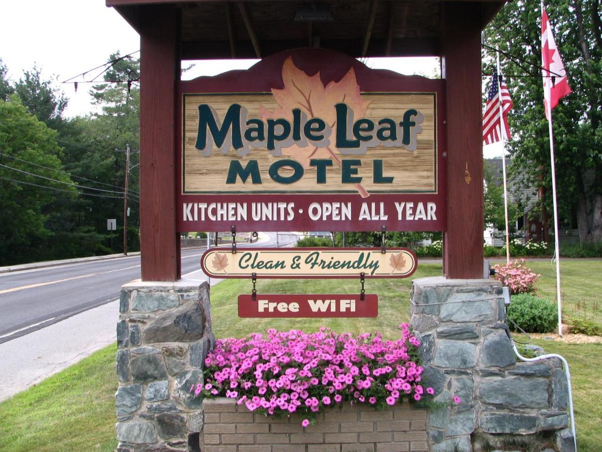 Maple Leaf Motel Littleton Kültér fotó